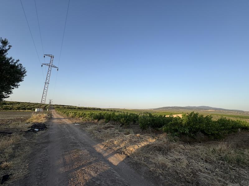 MANİSA SARUHANLI'DA 26.895 M2 SATILIK TARLA (101196446)